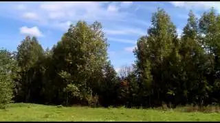 летающие мешки