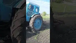 Дед на т-40 пашет огород