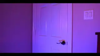 the door.