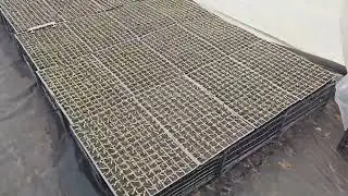 немного про теплицу и рассаду