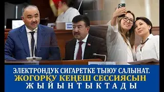 Электрондук СИГАРЕТКЕ тыюу салынат. Жогорку Кеңеш сессиясын жыйынтыктады