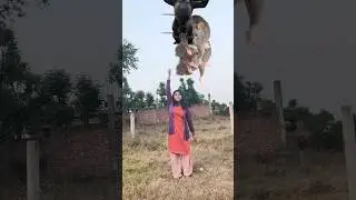 VFX rabbit biting magic flying funny video kinemaster editing 
