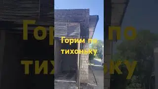 8 июля 2024 г.