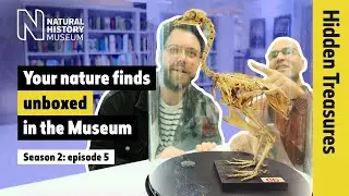 Unboxing your UK nature finds! What is the Angela Marmont Centre? | HT | S2E5 (Audio Described)