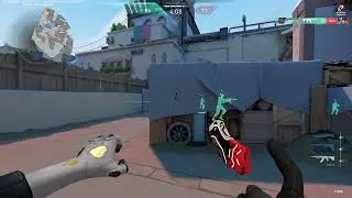 I got the Invisible Vandal