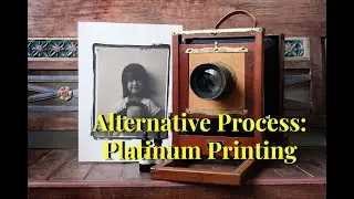 Alternative Process   Platinum Printing