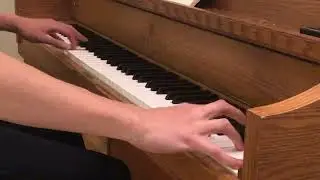This song is named Steve.