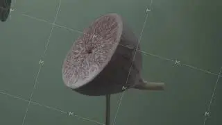 Fig rotating with loop on green screen for chroma key