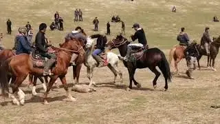 Бузкаши дар Гулистон (1кисм)