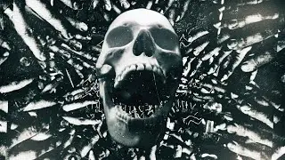 FALL OF SERENITY - Chaos Reign (official video)