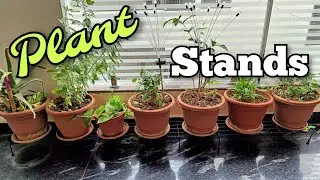 Plant Stands Unboxing | WonderStand Titan Plant Stands
