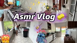VLOG ASMR LIMPANDO MINHA CASA 🏡