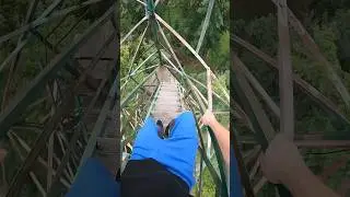Escaping The Purge