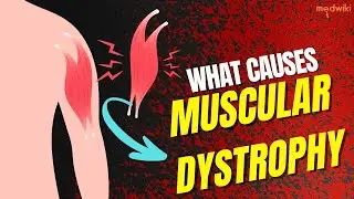 What causes muscular dystrophy?