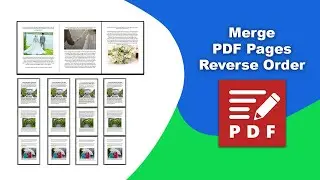 How to merge PDF pages in reverse order in PDF-XChange Editor