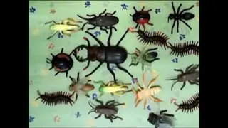 Мультстудия Фантазеры. Сороконожка.