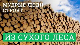МУДРЫЕ ЛЮДИ СТРОЯТ ДОМА ИЗ СУХОГО ЛЕСА