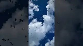 Как это красиво 😍
