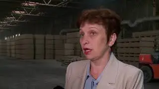 Тюменский «Сибжилстрой» производит 27% ЦСП в России