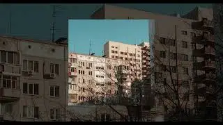 Red Goose - Shade