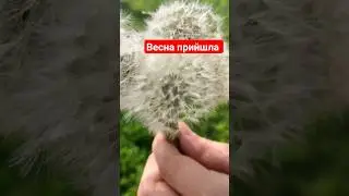 бажання летять та здійснюються 