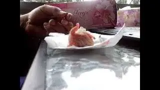 Man Save baby bird from inside the agg