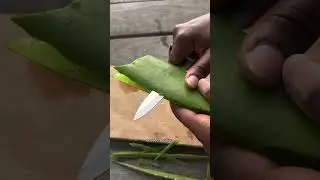 JUS ALOE VERA SUPER SIMPLE
