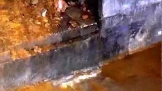 Mom and Dad's Flooding Basement