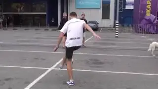 Фристайлеры