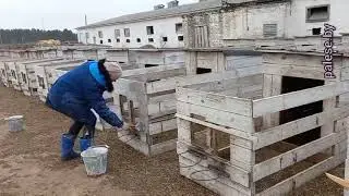 В хозяйстве должен быть порядок, уверены в КСУП 