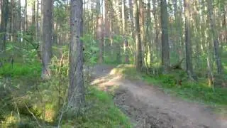 Ну мотнуло разок