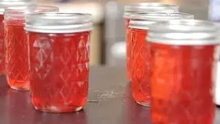 Did Some Canning And Other Things