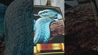 IEMANJÁ TEM UM RECADO #tarot  #ciganadoouro #estrelamistica #baralhocigano