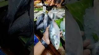 বর্ষার প্রথম ইলিস #bengali #food #bengalivlog #ইলিশ #ইলিশ_মাছের_রেসিপি #bengalifood #fish #life