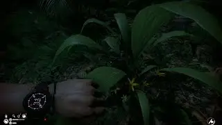 ★Green Hell★ ➜ ❸ ◄В поисках молинерии►