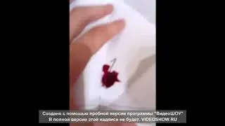 Дневнички