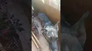 VID 20230613 104458