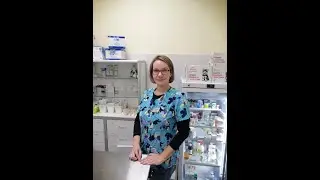 УЗИ котика. Как подготовиться