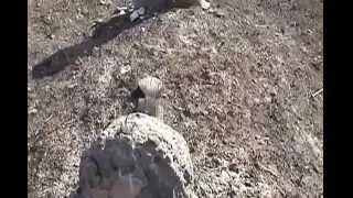 Ahiska- Andijan 2014 part 2