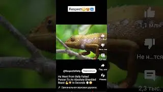 🥵respect 😎