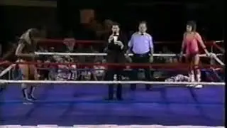 KATIE KINCAID V BAMBI