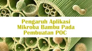 Uji Pengaruh Aplikasi Mikroba Bambu Pada Pembuatan POC Kompost Tea