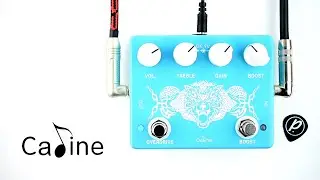 Caline CP-79 Wolfpack Overdrive Boost