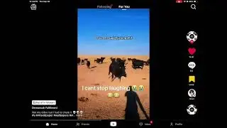 This isn’t my video, but this was Lk way to funny #cows #angry #water #tank #lifeguard