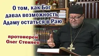О том, как Бог давал возможность Адаму остаться в Раю рассказал протоиерей Олег Стеняев