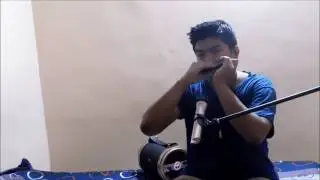 Mere Rashke Qamar | Harmonica Cover | Instrumental