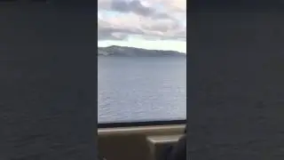 Wellington harboured hd