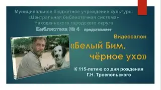 Видеосалон 