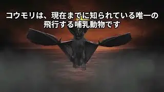 Bats navigate their surroundings by emitting ultrasonic waves. Dr. Hidenobu Toriyoshi, Ph.D., DVM