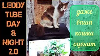 Меняем свет в 60л аквариуме